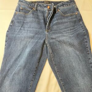 Talbots Classic Blue Denim Jeans